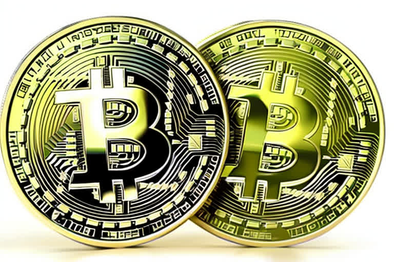 Всё о потрате денег Илона Маска и текущем курсе Litecoin к доллару: аналитика и прогнозы